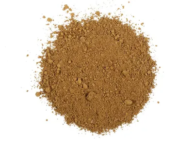 Wholesale Organic Reishi Mushroom Extract Powder & Capsules Image 2