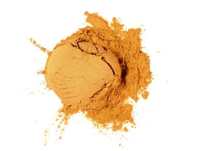 Wholesale Organic Reishi Mushroom Extract Powder & Capsules Image 4