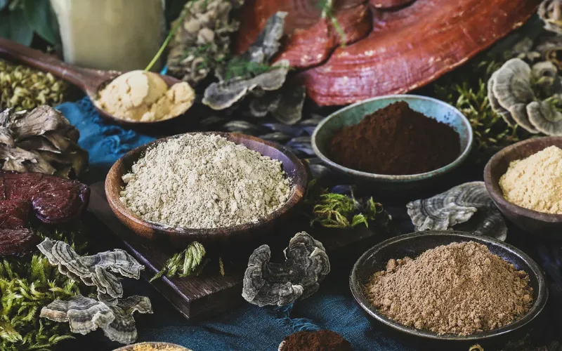 Wholesale Selenium Enriched Organic Oyster Mushroom Powder