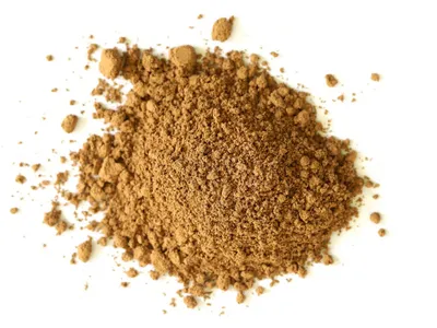 Wholesale Selenium Enriched Organic Oyster Mushroom Powder Image 1