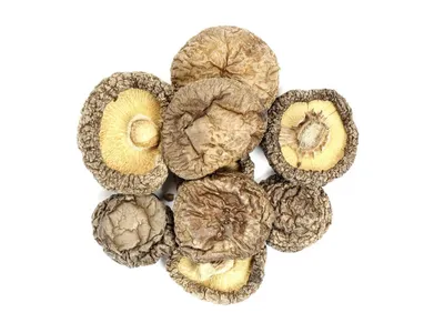 Wholesale Selenium Enriched Organic Oyster Mushroom Powder Image 4