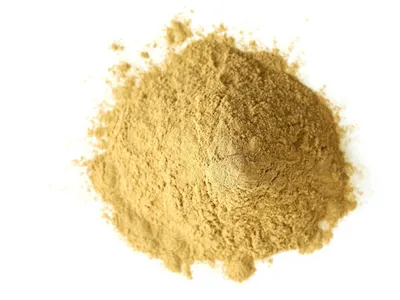 Wholesale Wild Organic Chaga Mushroom Extract Powder (≥2% Polysaccharides) Image 4