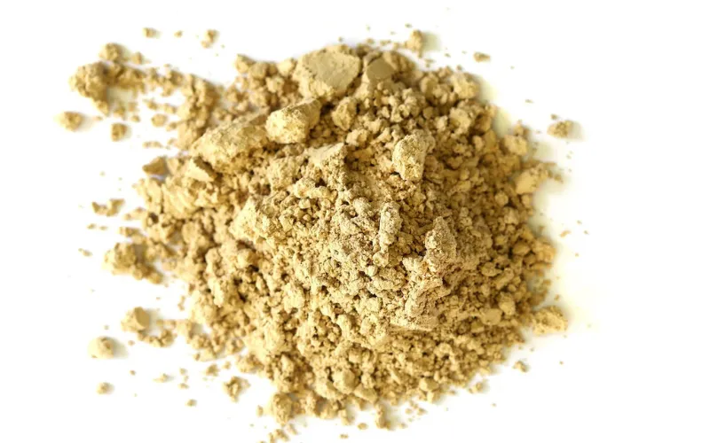 Wholesale Oyster Mushroom Extract Powder (≥2% Polysaccharides)